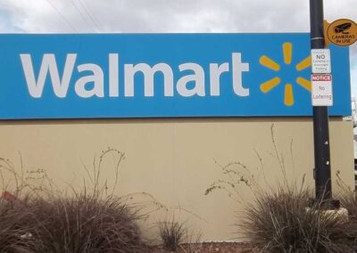 Retail_FlexFlace2_Walmart